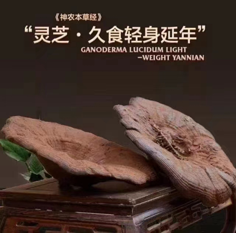 093911167.jpg WechatIMG1628.jpg